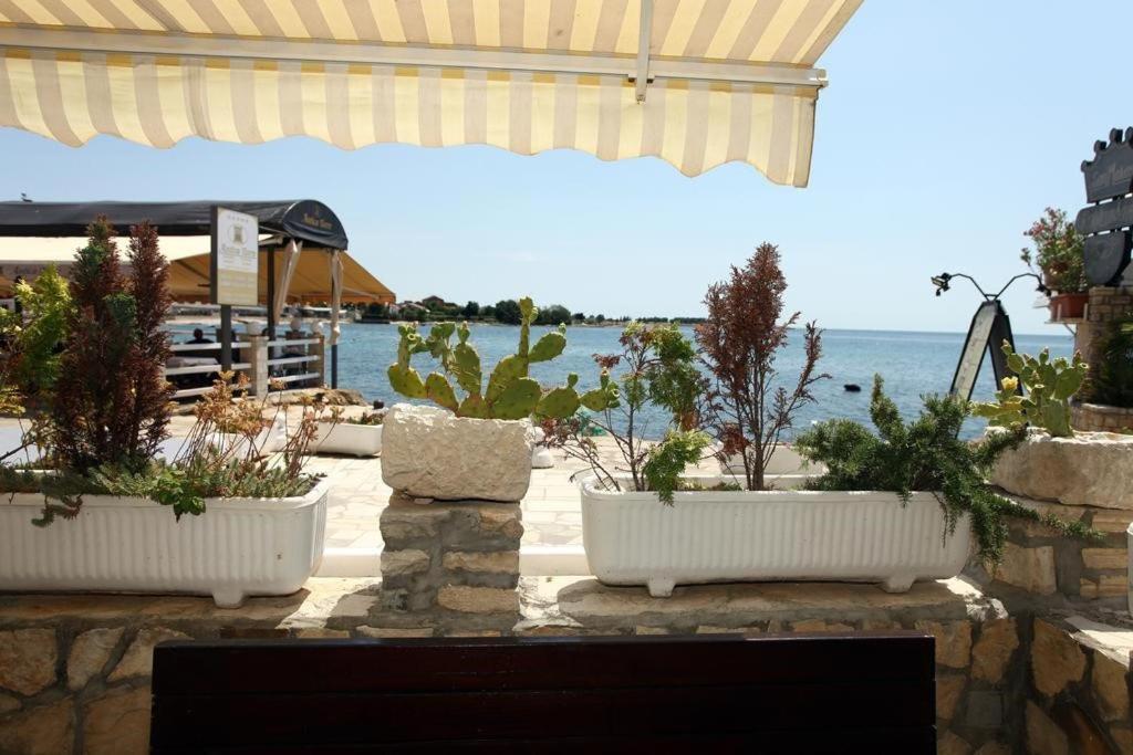 Sea View Apartment Umag 2 Exterior photo